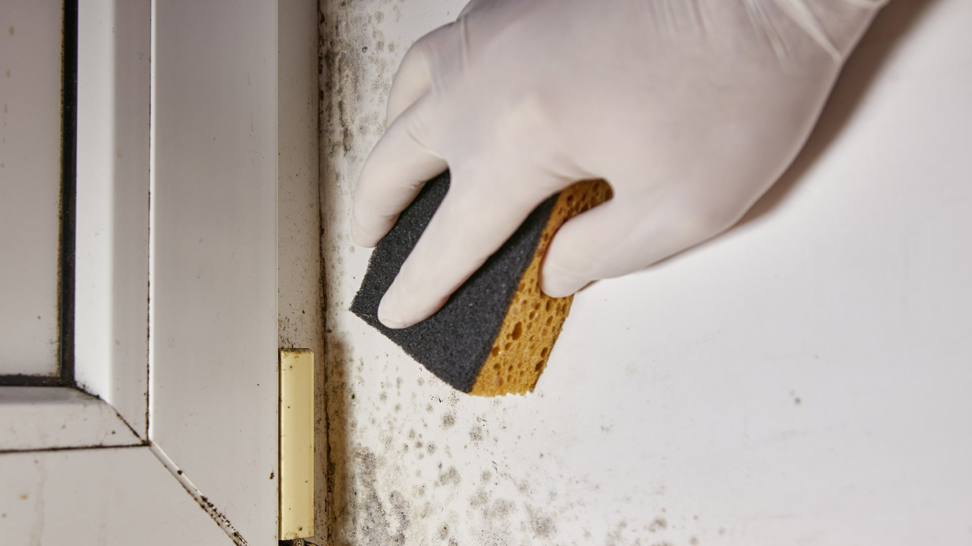 Awwab’s Law and the Golden Triangle to Understanding Damp and Mould