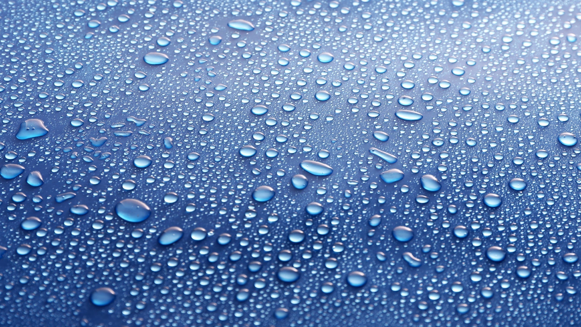 Understanding Domestic Ventilation, Humidity, and the Science of Damp