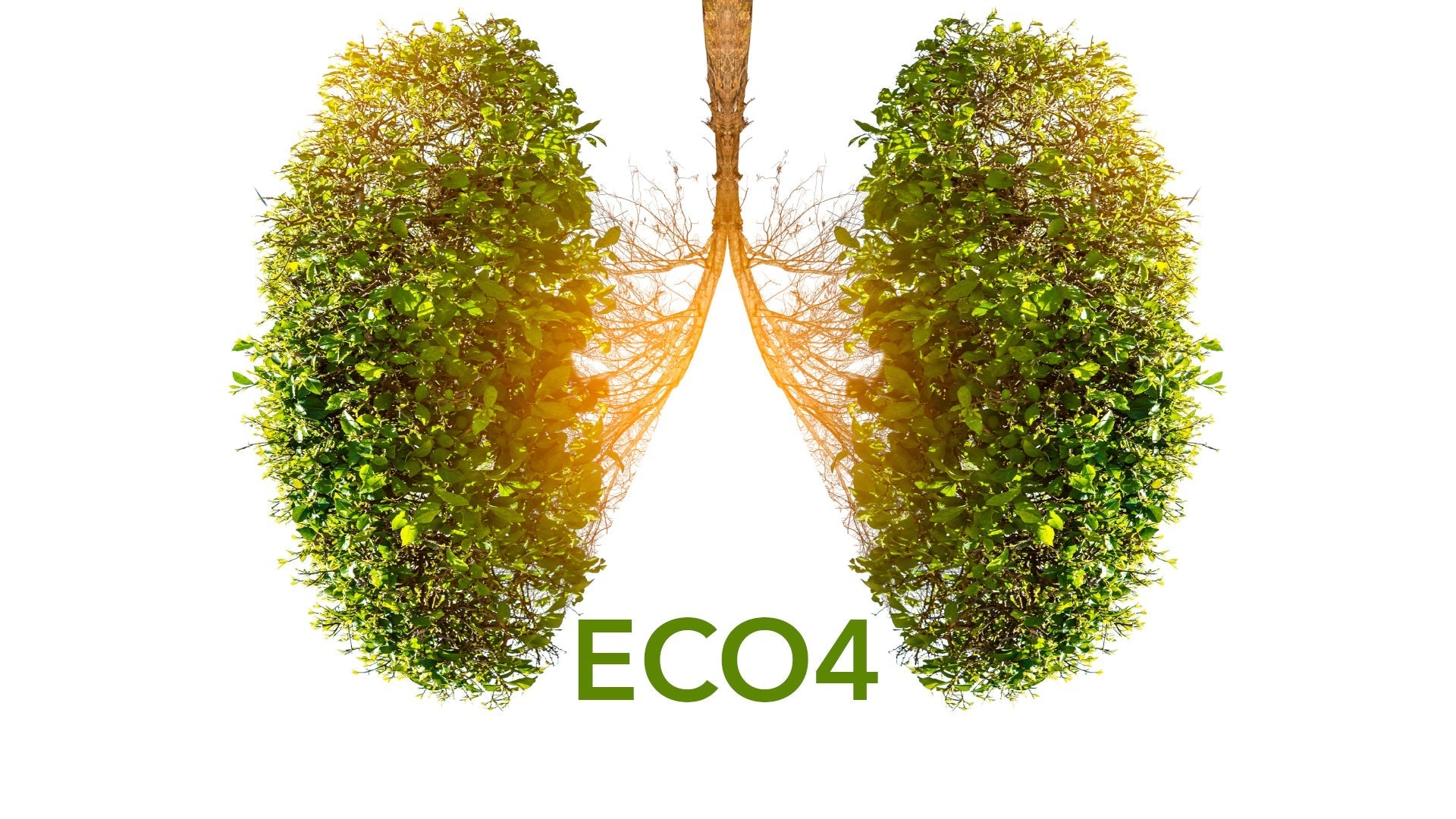 Understanding the ECO4 Initiative and Its Relevance to Home Mechanical Ventilation